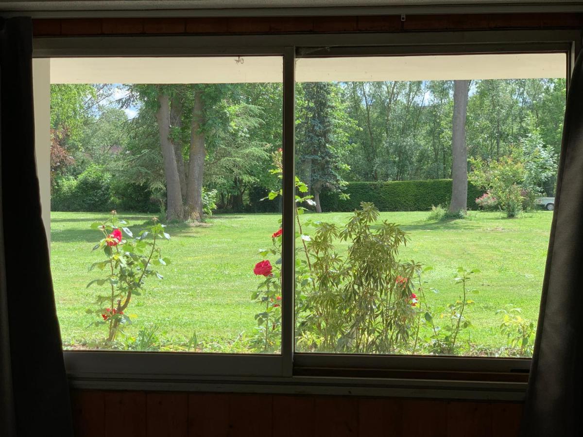 Appartement Familial Au Bord De La Marne, Jardin 8000M2, Piscine, Court De Tennis, Terrasse, Parking Gratuit Proche Disneyland Isles-lès-Villenoy Exteriör bild