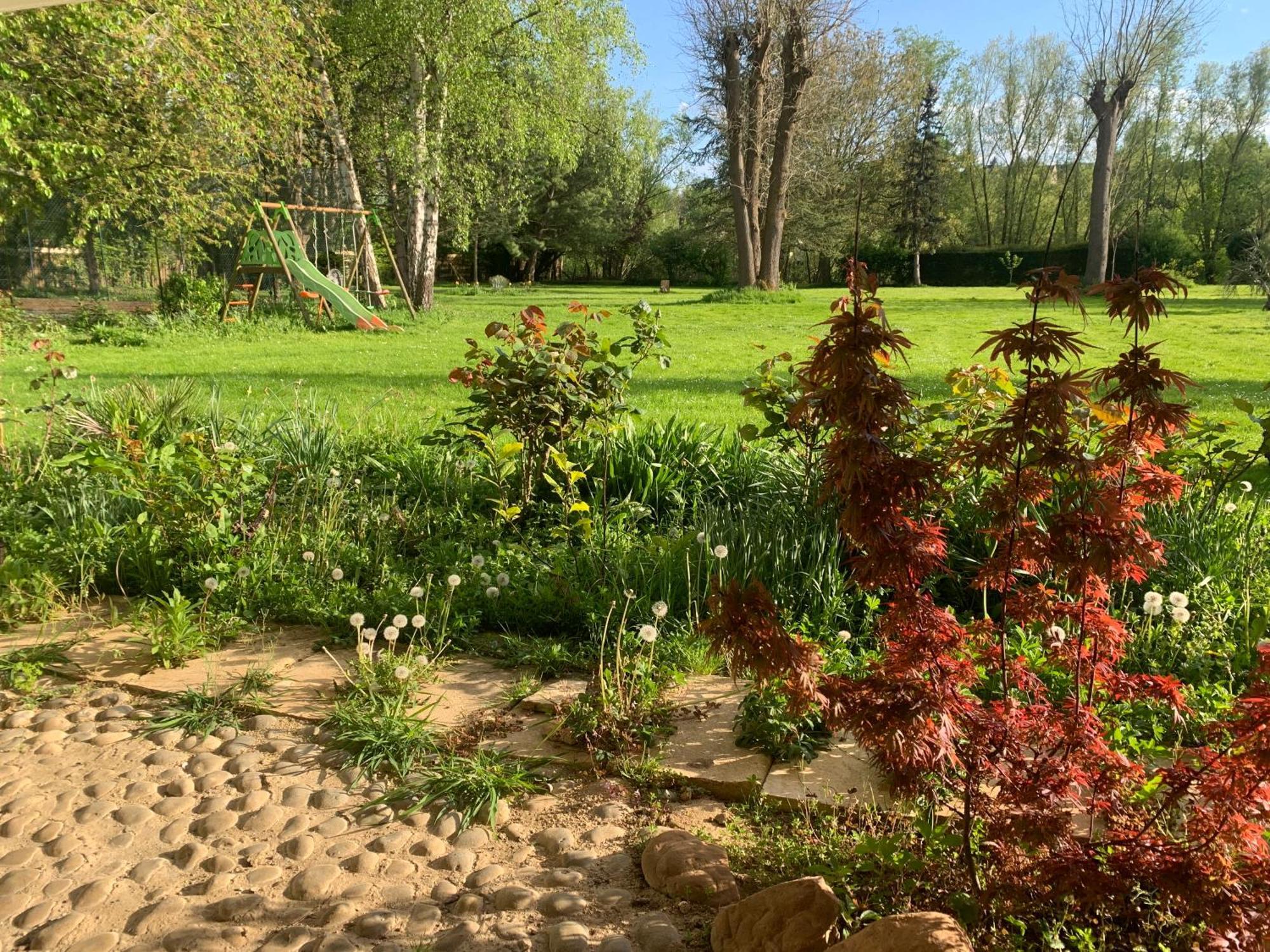 Appartement Familial Au Bord De La Marne, Jardin 8000M2, Piscine, Court De Tennis, Terrasse, Parking Gratuit Proche Disneyland Isles-lès-Villenoy Exteriör bild