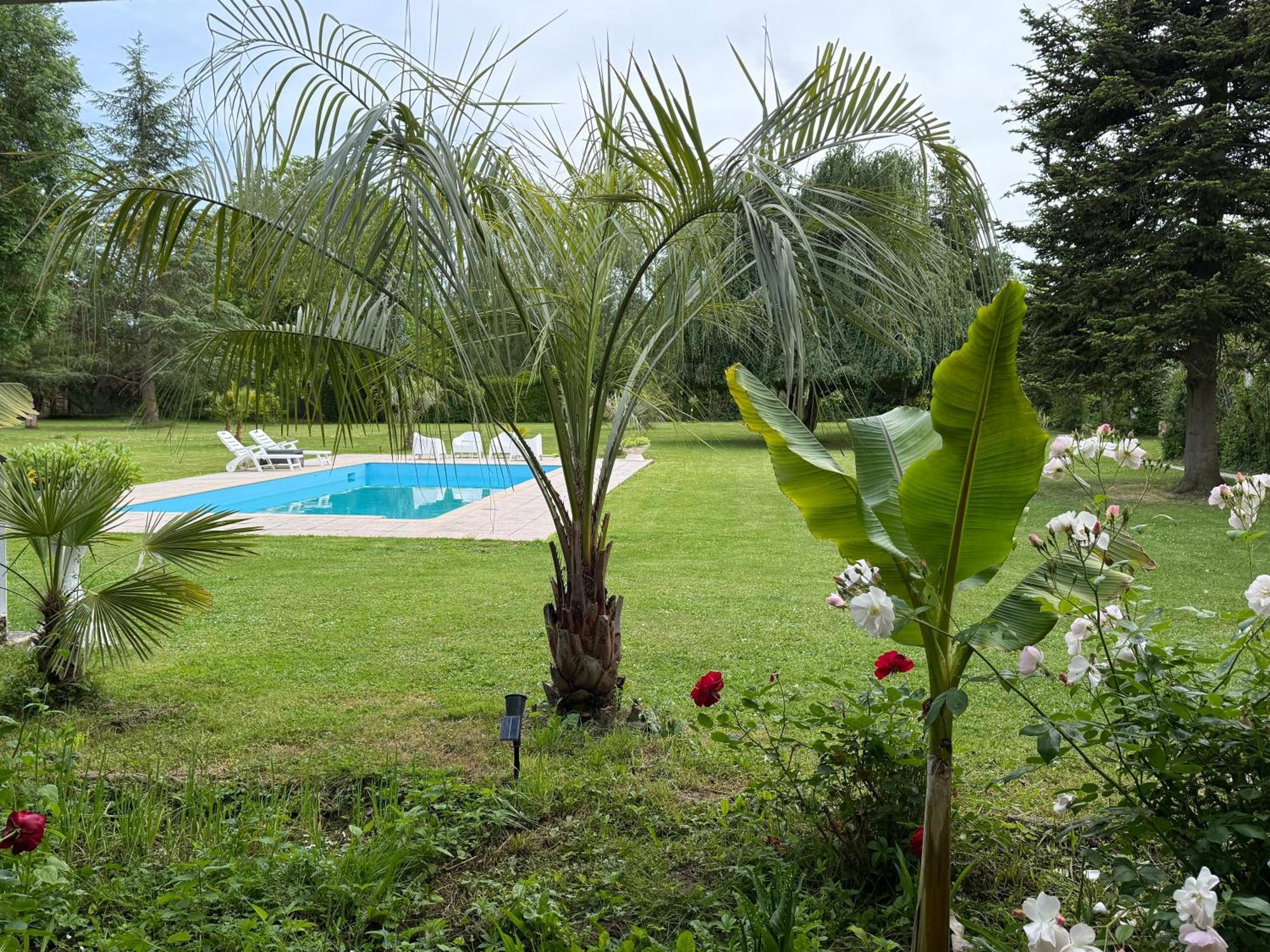 Appartement Familial Au Bord De La Marne, Jardin 8000M2, Piscine, Court De Tennis, Terrasse, Parking Gratuit Proche Disneyland Isles-lès-Villenoy Exteriör bild